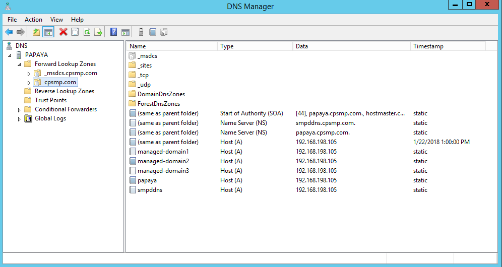 dns setting